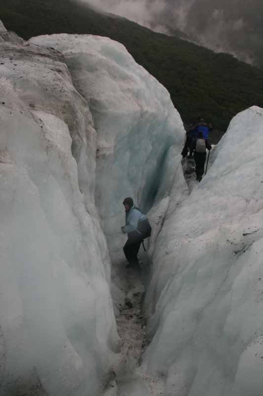 Nieuw-Zeeland 2011 - 1449